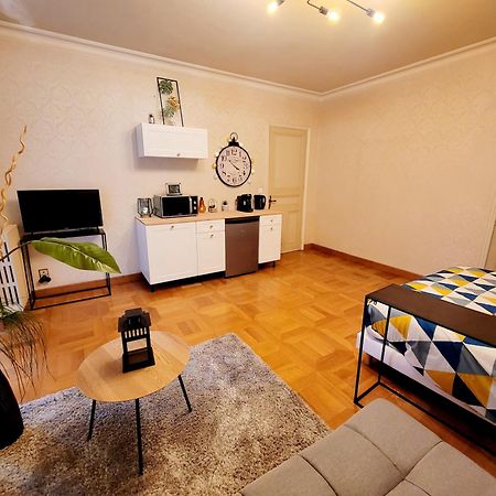 Superbe Appartement Calme Et Spacieux Graulhet Luaran gambar